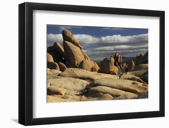 Arch Rock Trail, Joshua Tree National Park, California, USA-Michel Hersen-Framed Premium Photographic Print