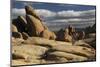 Arch Rock Trail, Joshua Tree National Park, California, USA-Michel Hersen-Mounted Premium Photographic Print