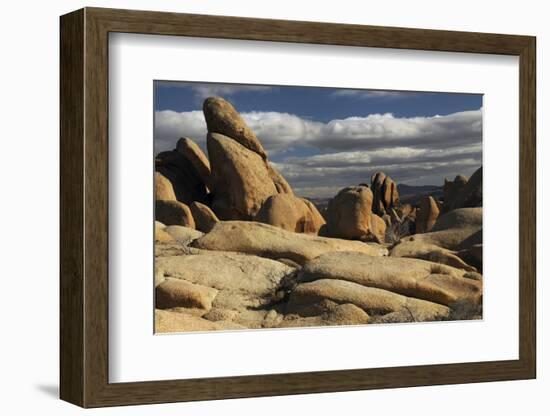 Arch Rock Trail, Joshua Tree National Park, California, USA-Michel Hersen-Framed Photographic Print