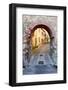 Arch-gkuna-Framed Photographic Print