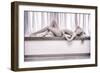 Arch-Fabrizio Micheli-Framed Photographic Print