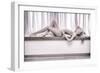 Arch-Fabrizio Micheli-Framed Photographic Print