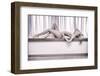 Arch-Fabrizio Micheli-Framed Photographic Print