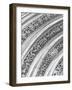 Arch-Steven Maxx-Framed Photographic Print