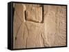 Archaeological Area, Nimrud, Iraq, Middle East-Nico Tondini-Framed Stretched Canvas