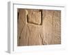 Archaeological Area, Nimrud, Iraq, Middle East-Nico Tondini-Framed Photographic Print