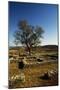 Archaeological Excavations of Ancient Sirkap-null-Mounted Giclee Print