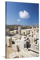 Archaeological remains near the harbour, Delos, UNESCO World Heritage Site, Cyclades Islands, South-Ruth Tomlinson-Stretched Canvas