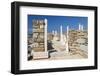 Archaeological remains of the House of Cleopatra, Delos, UNESCO World Heritage Site, Cyclades Islan-Ruth Tomlinson-Framed Photographic Print