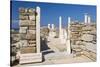 Archaeological remains of the House of Cleopatra, Delos, UNESCO World Heritage Site, Cyclades Islan-Ruth Tomlinson-Stretched Canvas
