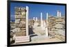 Archaeological remains of the House of Cleopatra, Delos, UNESCO World Heritage Site, Cyclades Islan-Ruth Tomlinson-Framed Photographic Print