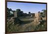 Archaeological Ruins-null-Framed Photographic Print