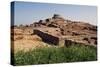 Archaeological Ruins-null-Stretched Canvas