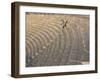 Archaeological Site, Jerash, Jordan, Middle East-Alison Wright-Framed Photographic Print