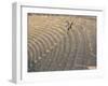 Archaeological Site, Jerash, Jordan, Middle East-Alison Wright-Framed Photographic Print