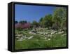 Archaeological Site of Olympia, Birthplace of the First Olympic Games in 776 BC, Greece-Gavin Hellier-Framed Stretched Canvas