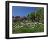 Archaeological Site of Olympia, Birthplace of the First Olympic Games in 776 BC, Greece-Gavin Hellier-Framed Photographic Print