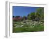 Archaeological Site of Olympia, Birthplace of the First Olympic Games in 776 BC, Greece-Gavin Hellier-Framed Photographic Print