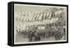 Archaeologists in Rome, a Lecture in the Colosseum-null-Framed Stretched Canvas