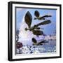 Archaeopteryx Birds Fly Near a Shoreline on a Cloudy Prehistoric Day-Stocktrek Images-Framed Art Print