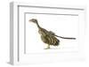 Archaeopteryx Dinosaur, Artwork-null-Framed Photographic Print