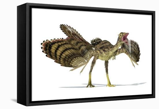 Archaeopteryx Dinosaur, Artwork-null-Framed Stretched Canvas