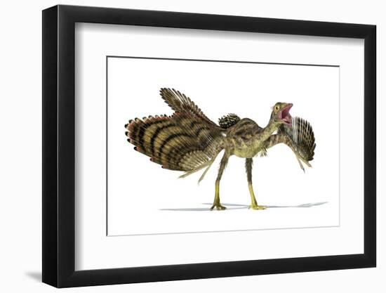 Archaeopteryx Dinosaur, Artwork-null-Framed Photographic Print