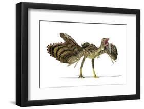 Archaeopteryx Dinosaur, Artwork-null-Framed Photographic Print