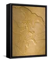 Archaeopteryx Fossil the Earliest Most Primitive Bird-null-Framed Stretched Canvas