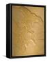 Archaeopteryx Fossil the Earliest Most Primitive Bird-null-Framed Stretched Canvas