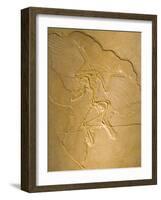 Archaeopteryx Fossil the Earliest Most Primitive Bird-null-Framed Photographic Print