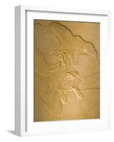 Archaeopteryx Fossil the Earliest Most Primitive Bird-null-Framed Photographic Print