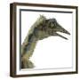 Archaeopteryx Is a Carnivorous Bird That Lived During the Jurassic Period-Stocktrek Images-Framed Art Print