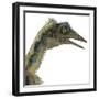 Archaeopteryx Is a Carnivorous Bird That Lived During the Jurassic Period-Stocktrek Images-Framed Art Print