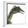 Archaeopteryx Is a Carnivorous Bird That Lived During the Jurassic Period-Stocktrek Images-Framed Art Print