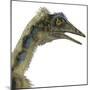 Archaeopteryx Is a Carnivorous Bird That Lived During the Jurassic Period-Stocktrek Images-Mounted Art Print