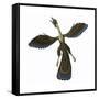 Archaeopteryx, known as One of the Earliest Prehistoric Birds-null-Framed Stretched Canvas