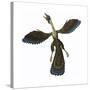 Archaeopteryx, known as One of the Earliest Prehistoric Birds-null-Stretched Canvas