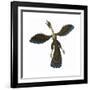 Archaeopteryx, known as One of the Earliest Prehistoric Birds-null-Framed Art Print