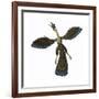 Archaeopteryx, known as One of the Earliest Prehistoric Birds-null-Framed Art Print