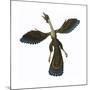 Archaeopteryx, known as One of the Earliest Prehistoric Birds-null-Mounted Art Print