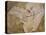 Archaeopteryx Lithographica Fossil-Naturfoto Honal-Stretched Canvas