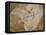 Archaeopteryx Lithographica Fossil-Naturfoto Honal-Framed Stretched Canvas