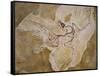Archaeopteryx Lithographica Fossil-Naturfoto Honal-Framed Stretched Canvas