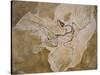 Archaeopteryx Lithographica Fossil-Naturfoto Honal-Stretched Canvas