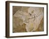 Archaeopteryx Lithographica Fossil-Naturfoto Honal-Framed Premium Photographic Print