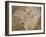 Archaeopteryx Lithographica Fossil-Naturfoto Honal-Framed Premium Photographic Print