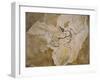 Archaeopteryx Lithographica Fossil-Naturfoto Honal-Framed Premium Photographic Print