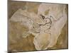 Archaeopteryx Lithographica Fossil-Naturfoto Honal-Mounted Premium Photographic Print