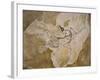 Archaeopteryx Lithographica Fossil-Naturfoto Honal-Framed Photographic Print
